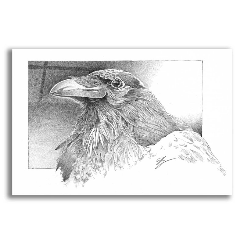 Red Barrel Studio 'Ravens Head' By Durwood Coffey, Acrylic Glass Wall Art,, H 12 po x l 16 po x P 0,13 po