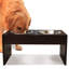 Anti-Skid Elevated Feeder-30992006