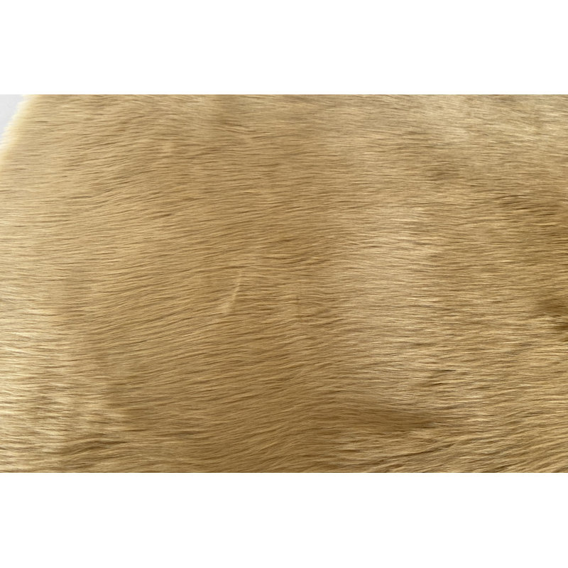 Tapis Rejetta, Doré, Rectangulaire 3 pi x 5 pi