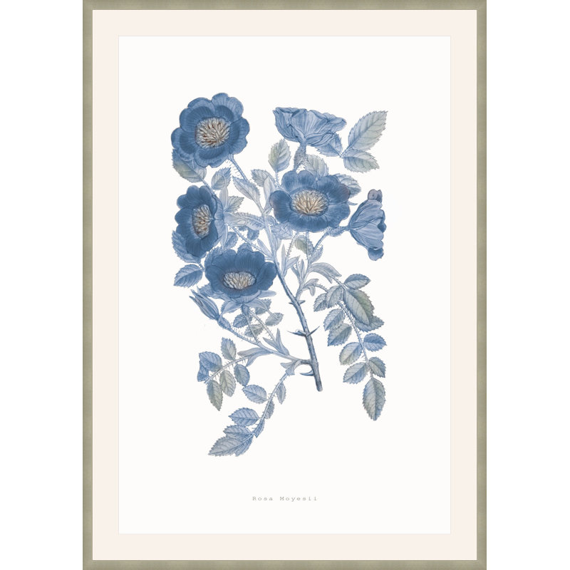 Bouquet Blue 5 Framed Print, 23.75" H x 17.75" W