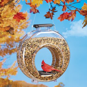 Canteen Fly Decorative Bird Feeder