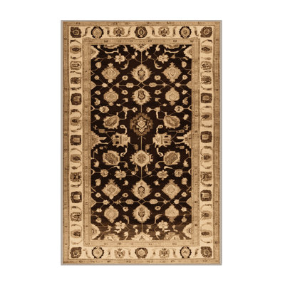 Machine Washable Overdyed Brown Area Rug