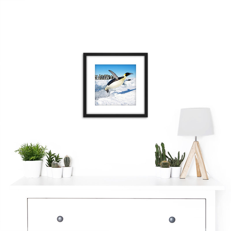 Michel Emperor Penguin Antarctica Jumping From Water - Single Picture Frame Painting