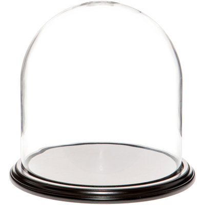 Vucciria 11.75" x 12" Glass Display Dome Cloche