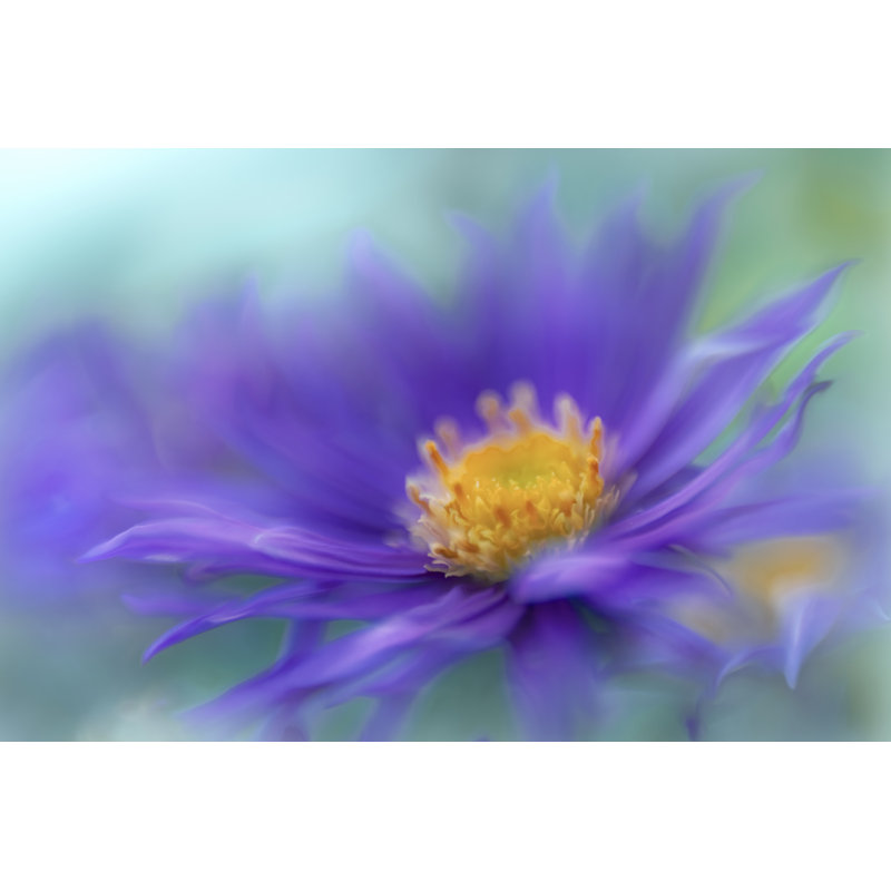 Gold and Purple in the Mist V by Gillian Hunt - Photograph, 51 cm H x 76 cm W, Wrapped Canvas