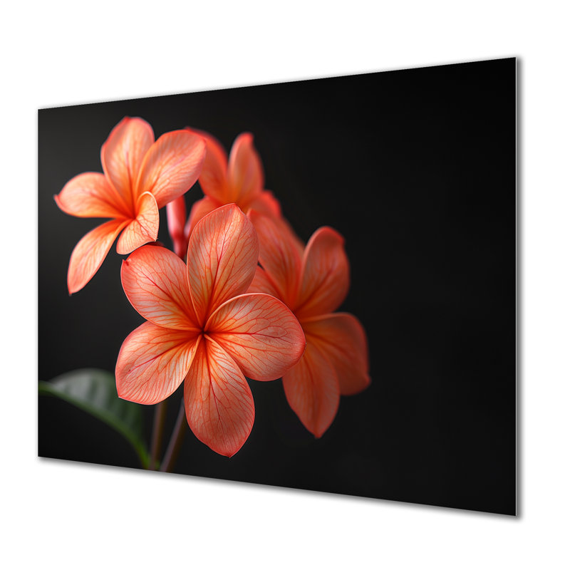Décoration murale Kinsman - Plumeria, H 30 po x l 40 po x P 1,5 po, Métal métal