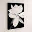 «Magnolia», reproduction de photo sur toile tendue-1165091983