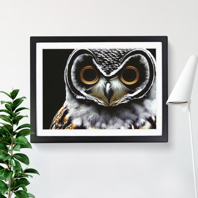 Favourable Owl - Single Picture Frame Print