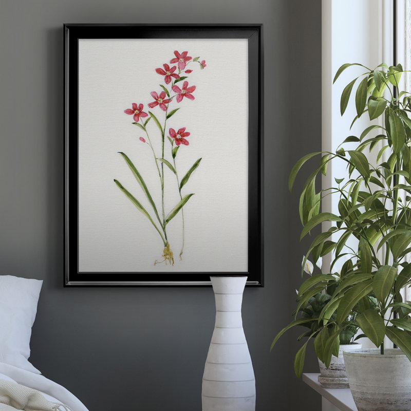 Delicate Pink I - peinture sur toile encadrée, Noir, H 22,5 po x l 30,5 po x P 1,5 po
