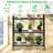 Metal Plant Stand