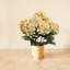 Hortensia-495532167