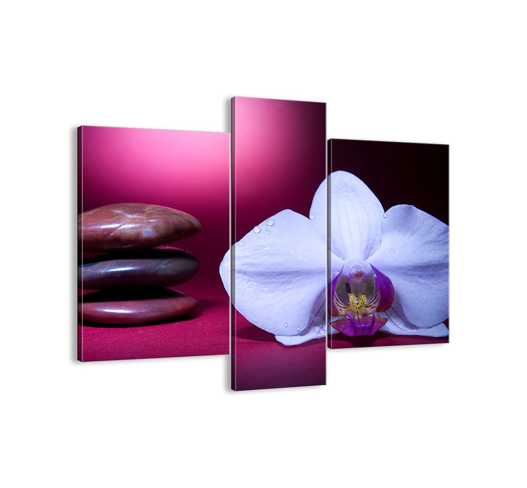 3-tlg. Leinwandbilder-Set - Fotografie „A Study of Freshness in Purple”