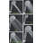 Ana Bath 6-Inch Multi Function (with Pause Function) Dual Shower Head with 5-Ft Hose-54374819