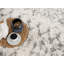 Tapis abstrait moderne de la collection rétro Raschad (5 pi x 8 pi) - 5 pi 3 po x 7 pi 6 po, ivoire-972881611