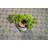 Abstract Indoor/Outdoor Commercial Color Rug - Beige, Pet Friendly Rug-1385659691