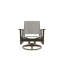 Wexler Outdoor Swivel Lounge Chair-1099678795-1102391097