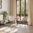 Abishan Dining Chairs Set Of 2