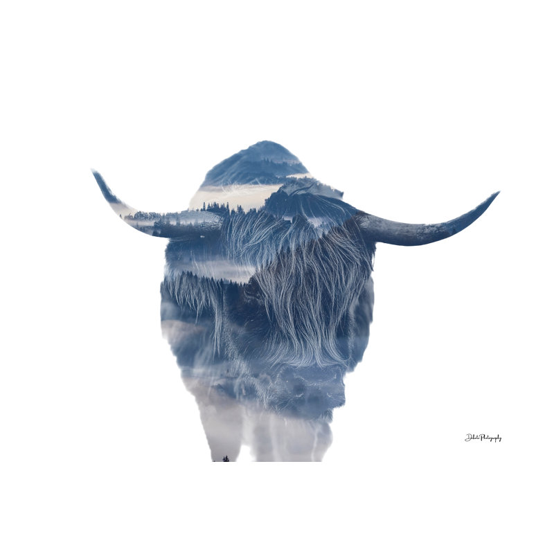 Highland Réflexions par Dakota Diener, H 12 po x l 18 po