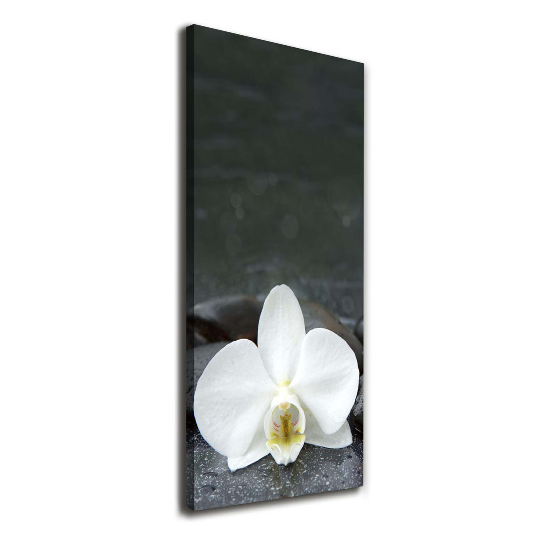 Orchid Stones - Kunstdrucke auf Leinwand - Wrapped Canvas