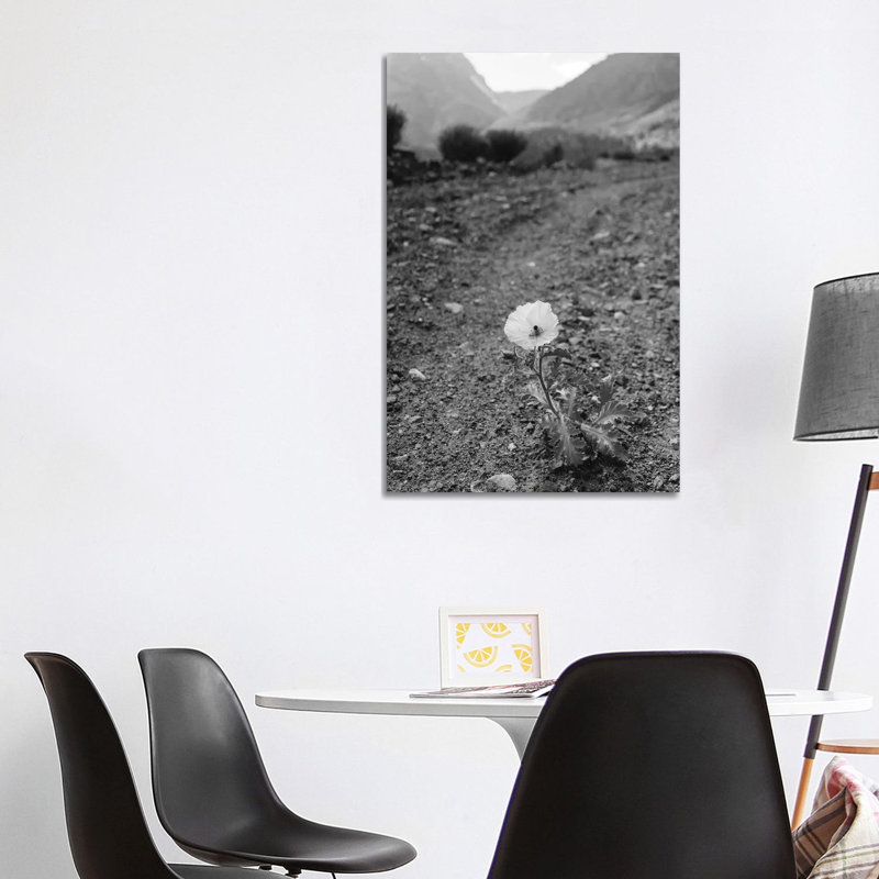 Monochrome Yosemite Bloom by Bethany Young - Print on Canvas, Wrapped Canvas, 101.6cm H x 66.04cm W x 3.81cm D