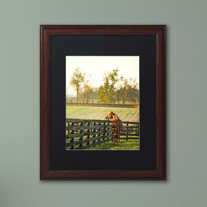 « kentucky cheval de soleil », reproduction de photo sur toile encadrée, H 20 po x l 16 po x P 0,5 po