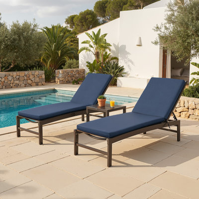 21‘’ in W X 72‘’ in D X 2.75‘’ in H Outdoor Chaise Lounge Cushion Set (Set of 2)