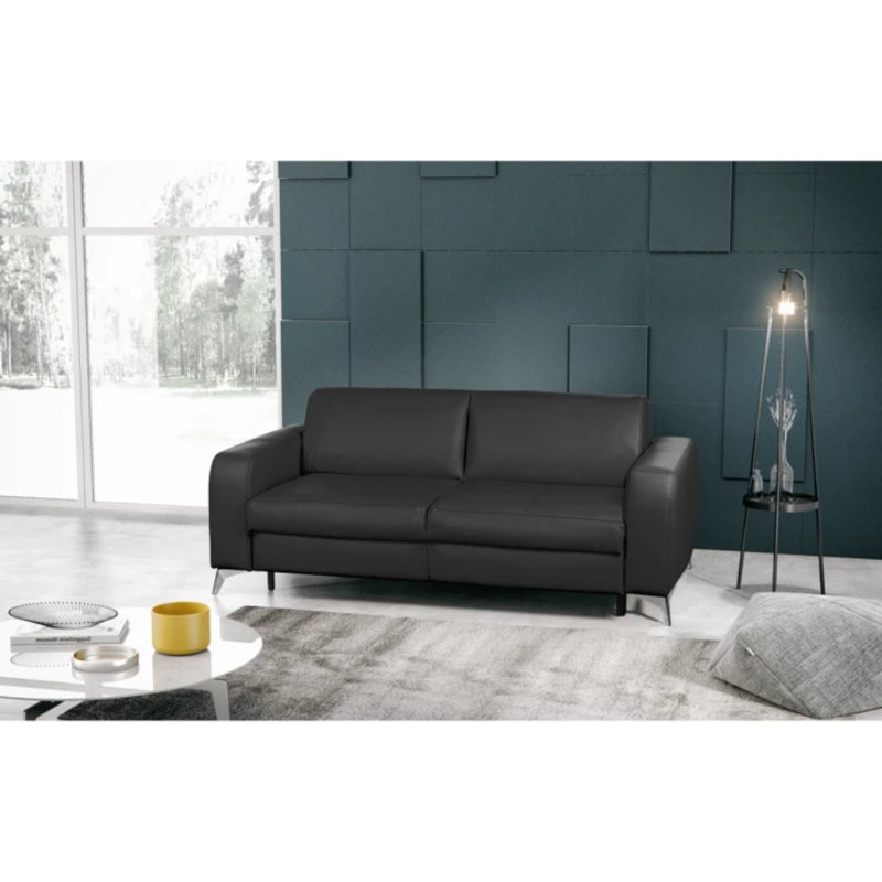 Kitt Genuine Leather 2-Seat Fold-out Sleeper Sofa, Black