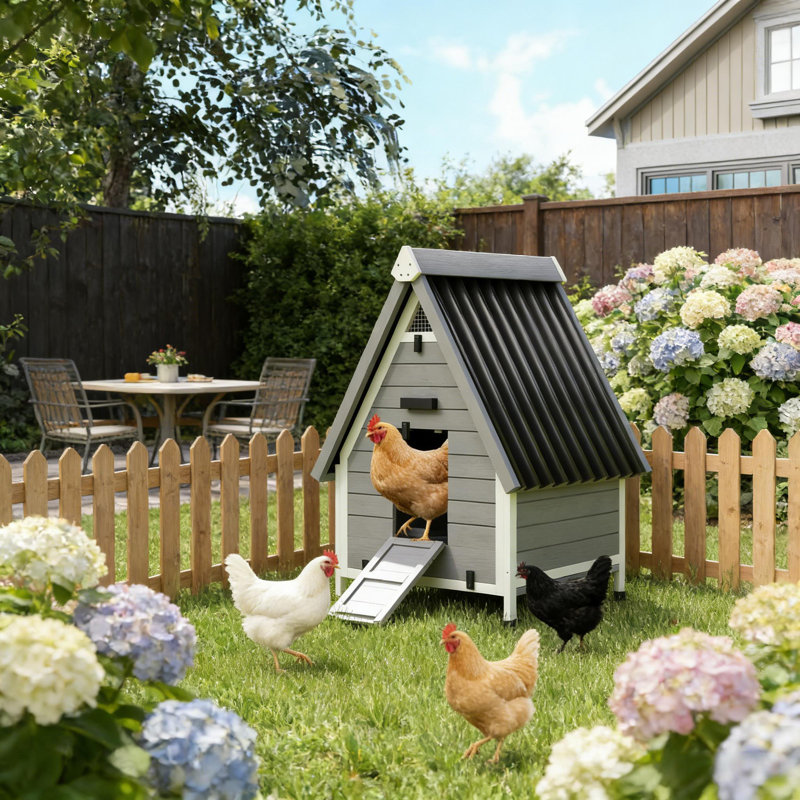 Poulailler en bois et niche pour animaux avec boîte de nidification