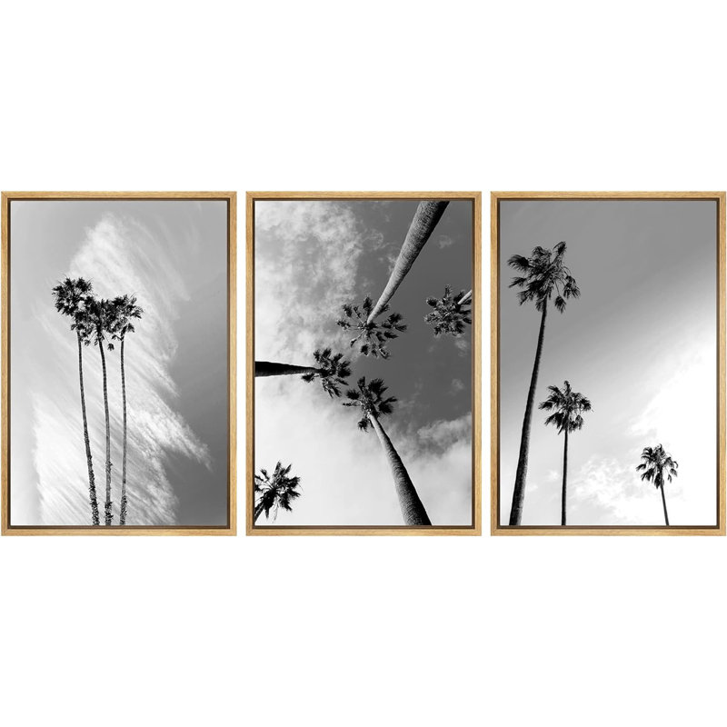 «Black and White Tropical Palm Tree Coastal», reproduction d'art encadrée sur toile 3 pièces, H 24 po x l 48 po, Naturel