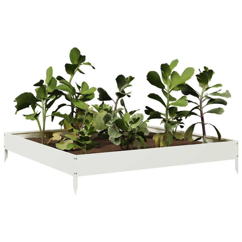 Caylub Metal Raised Garden Bed, 18.5cm H x 100cm W x 100cm D, White