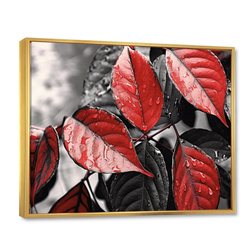 Feuilles rouges et grises sur un arbre V, Cadre flottant doré, H 12 po x l 20 po x P 1 po