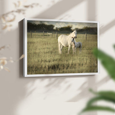 Mare and Colt -Framed Print - Restickable