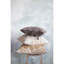 Housse de coussin en coton 