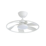 Light Pro 22 In. LED Indoor Smart Ceiling Fan With Remote Control