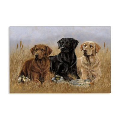 Dog Trio & Ducks Canvas Wall Art by Victoria Schultz