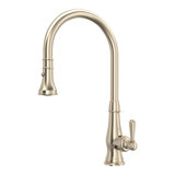 Patrizia™ Pull Down Single Handle Kitchen Faucet with Accessories