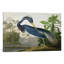Louisiana Heron by John Audubon - Gallery-Wrapped Canvas Giclee on Canvas-50018943-56678682