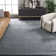 Mcelroy Hand-Knotted Villa Blue Area Rug