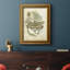 Regal Dragonfly IV (PP), toile encadrée de qualité supérieure - prête à être accrochée-932291414