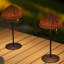 Tilly 12.75" Modern Coastal Indoor/Outdoor Wicker Shade Rechargeable/Cordless Dimmable Integrated LED Table Lamp