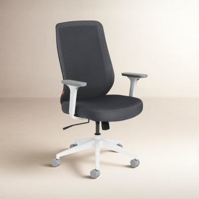 Max Office Chair with Lumbar Support