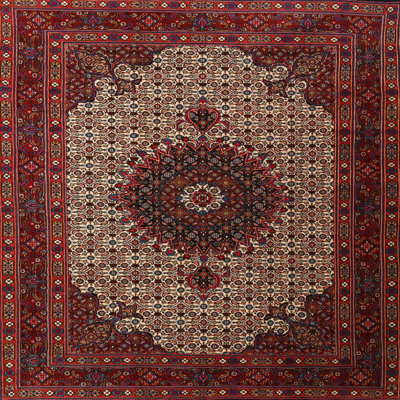 Oriental Indoor Rug