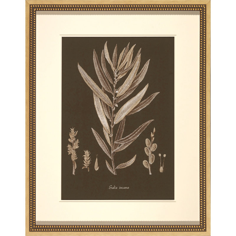 Sepia Leaves On Chocolate I Painting