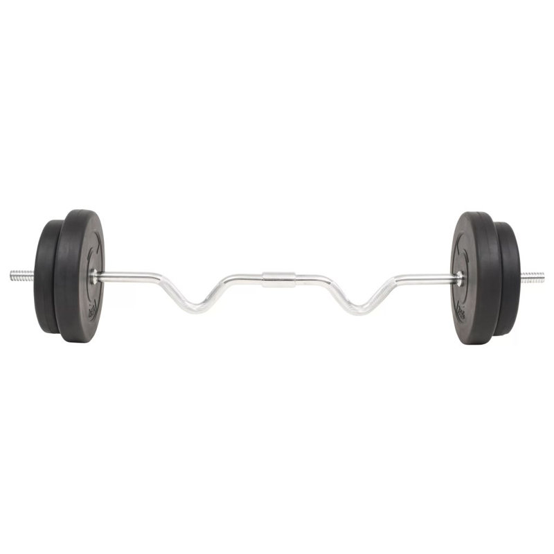 Freeport Park Black Steel Barbell Set