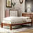 Magna Platform Bed-830232426-887209472