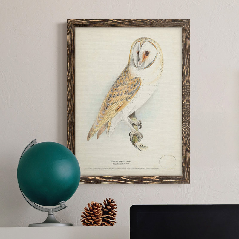 Toile encadrée de qualité supérieure Barn Owl - prête à être accrochée, Noyer, H 24 po x l 20 po x P 1 po