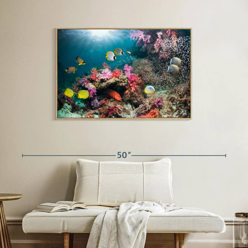 Andaman Sea Life, Cadre flottant en bois naturel, 40 po x 27 po