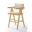 Tabouret de comptoir rembourré Ches avec structure en bois massif (ensemble de 2)-220375559