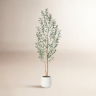 Adcock Artificial Olive Tree with Natural Wood Trunk in White Planter