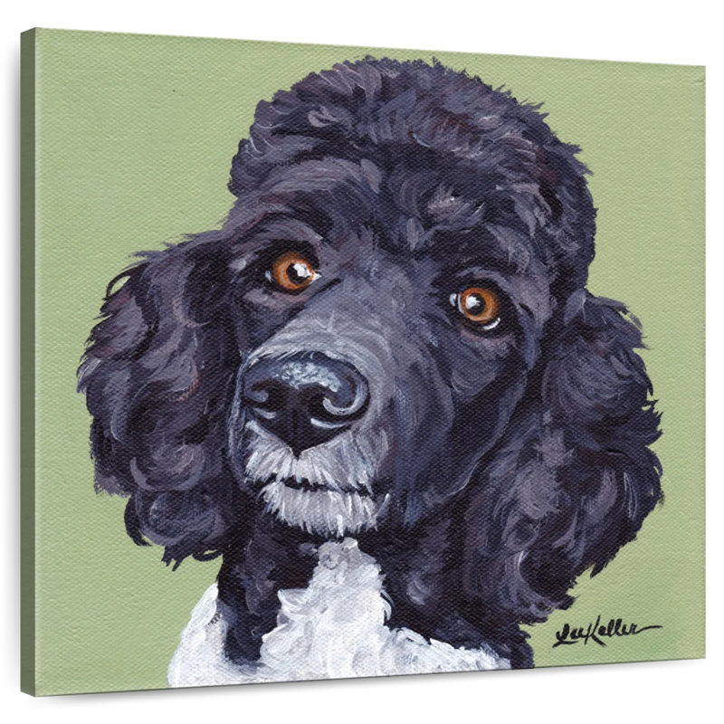 Brampt Standard Poodle Tommy, 10" H x 10" W